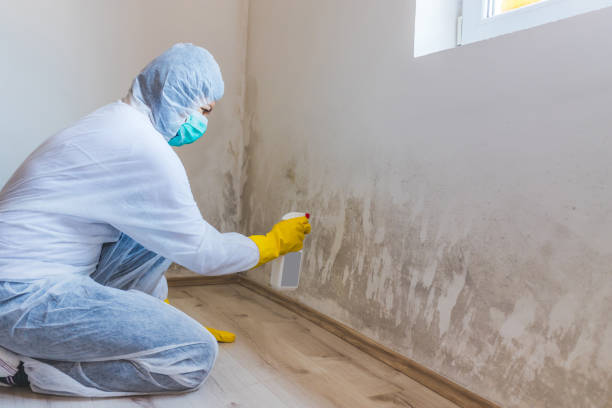 Mold inspector in Bayville performing thermal imaging