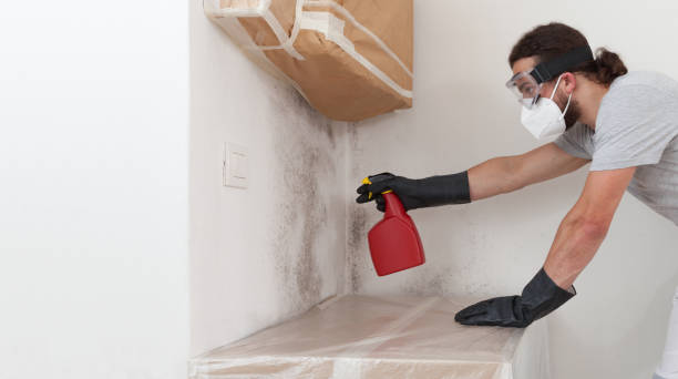 Attic Mold Remediation treatment on roof deck in Bayville